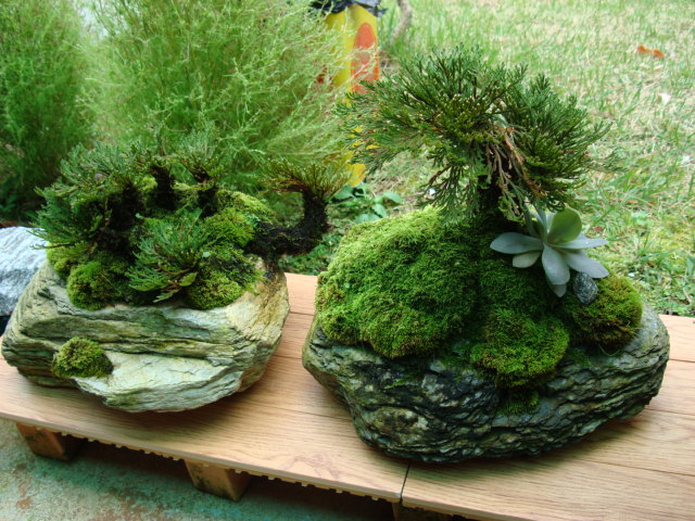 DSC00330.JPG