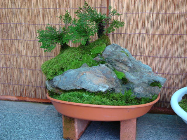 DSC00334.JPG