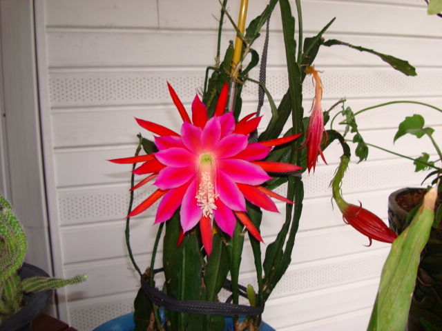 DSC00844.JPG