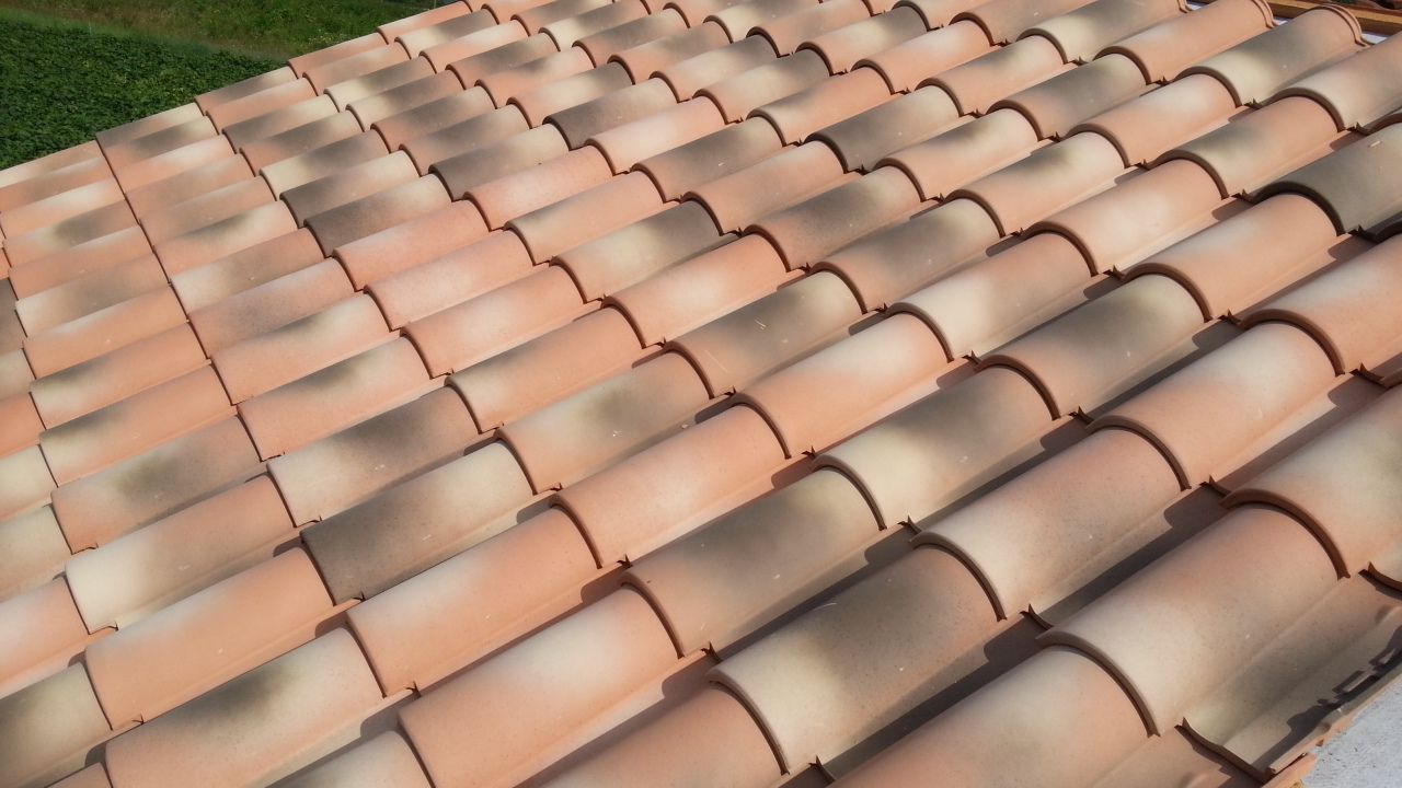20140901_152516.jpg