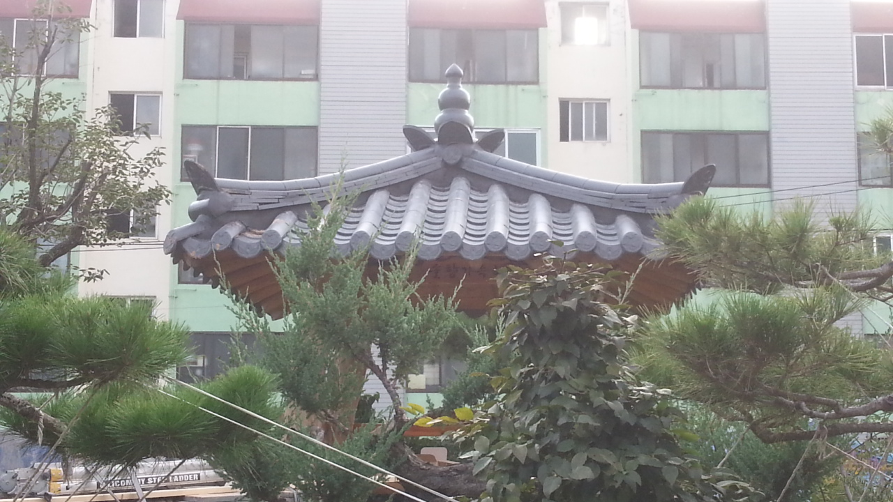 20140922_173549.jpg