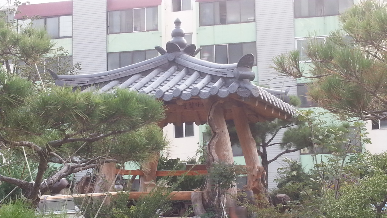 20140922_173617.jpg