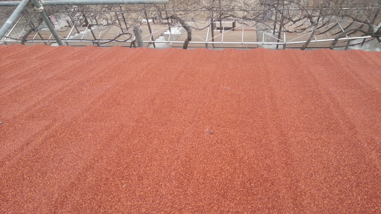 20140227_173734.jpg