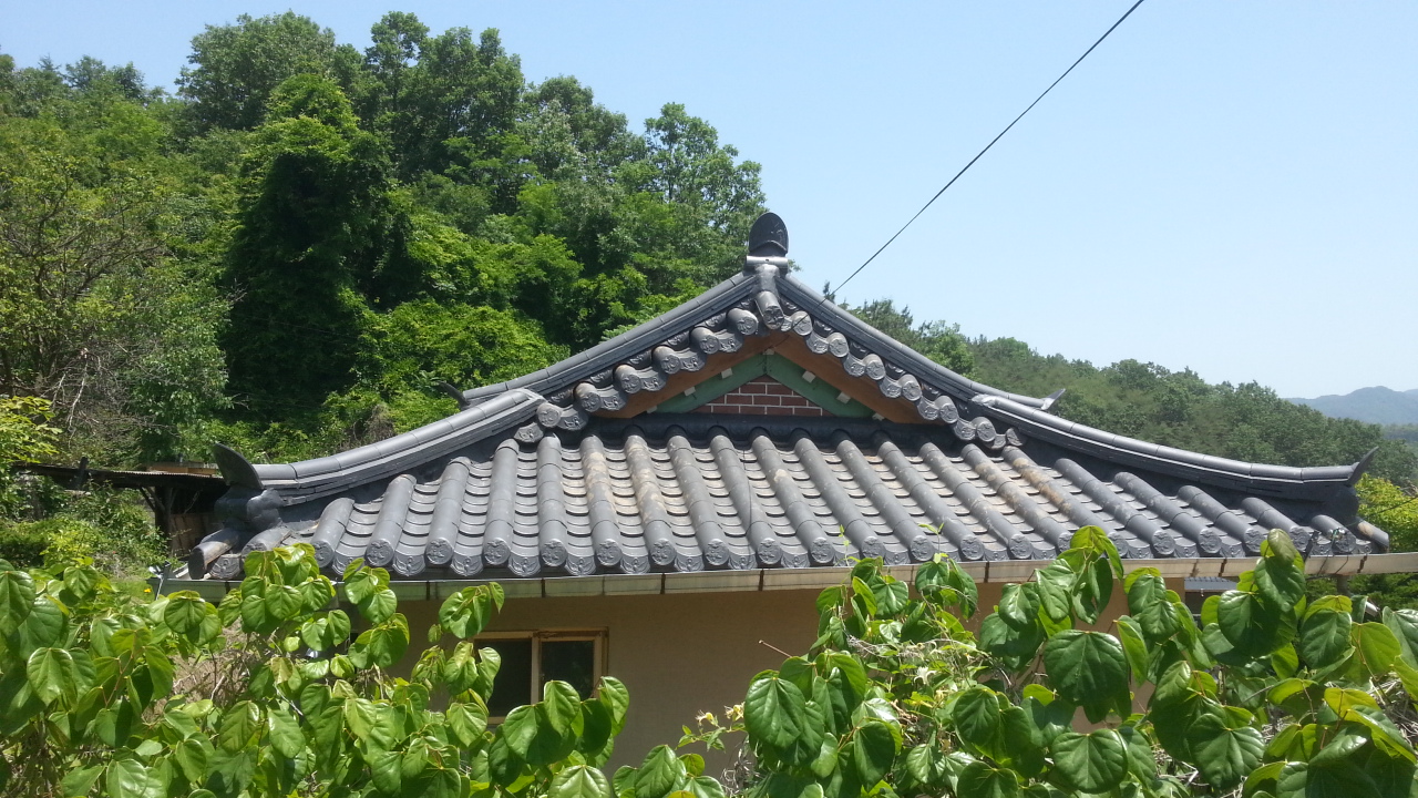 20140530_122615.jpg