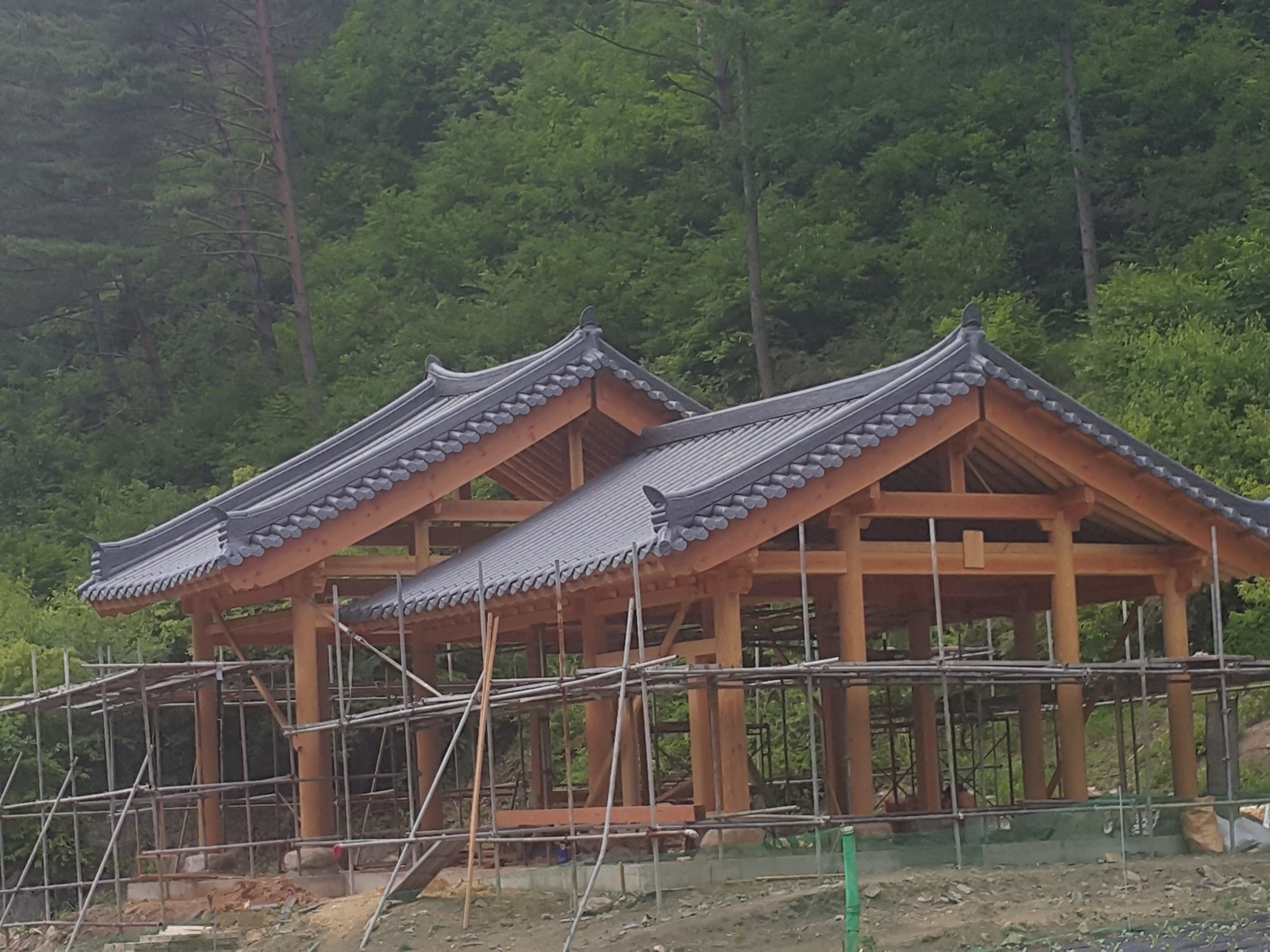 20150625_134421.jpg