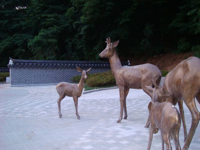 DSC00612.JPG