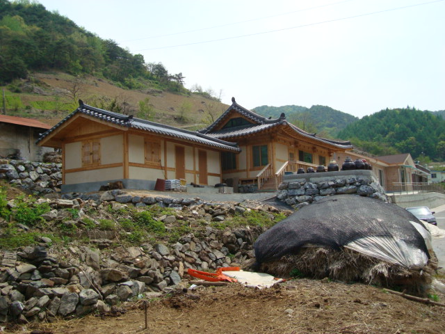 DSC00546.JPG