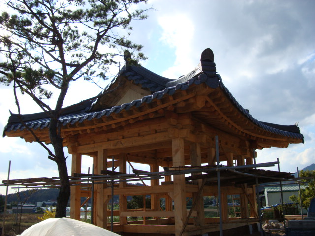 DSC00360.JPG