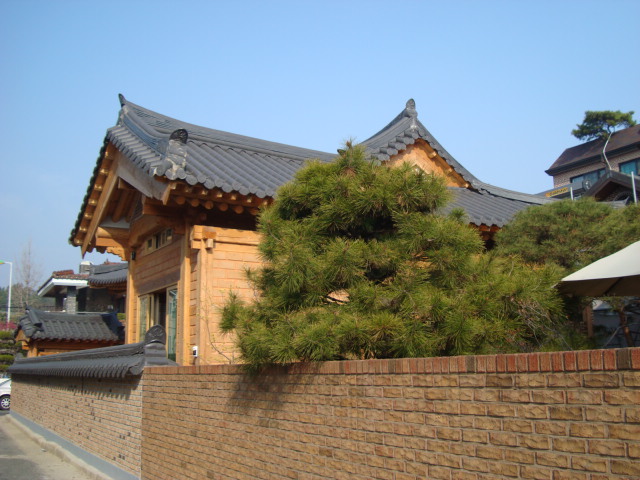 DSC00899.JPG